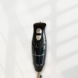 Mixeur Plongeant avec 2 Vitesses Noir 500W