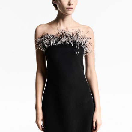 Robe Bustier Détail Plumes thumbnail 1
