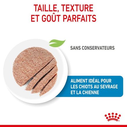 Royal Canin Starter Mousse Ultra Douce pour Chiens Mère et Bébé (195g) thumbnail 2