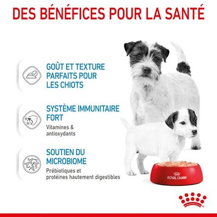 Royal Canin Starter Mousse Ultra Douce pour Chiens Mère et Bébé (195g) thumbnail 3
