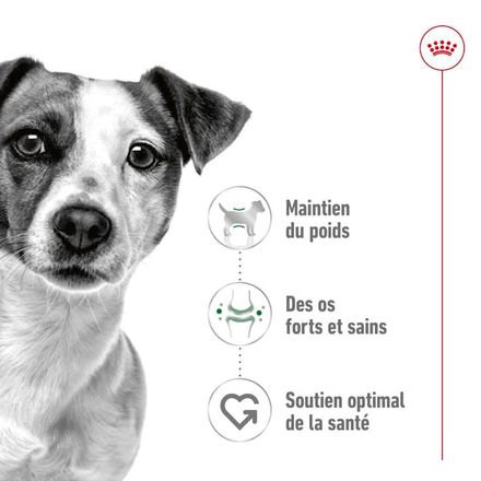 Royal Canin Mini Adult - Morsels in Gravy - Nourriture humide pour chiens (85 g) thumbnail 2