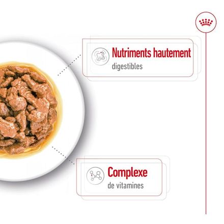 Royal Canin Mini Adult - Morsels in Gravy - Nourriture humide pour chiens (85 g) thumbnail 3