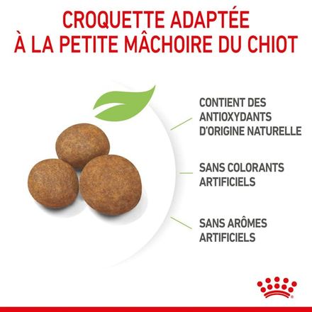Maxi Puppy - Croquettes pour chien thumbnail 2
