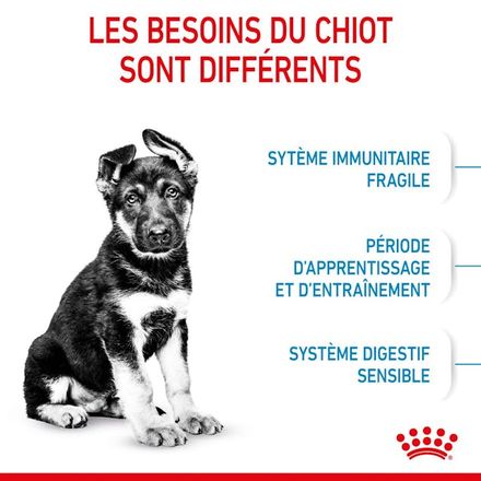 Maxi Puppy - Croquettes pour chien thumbnail 4