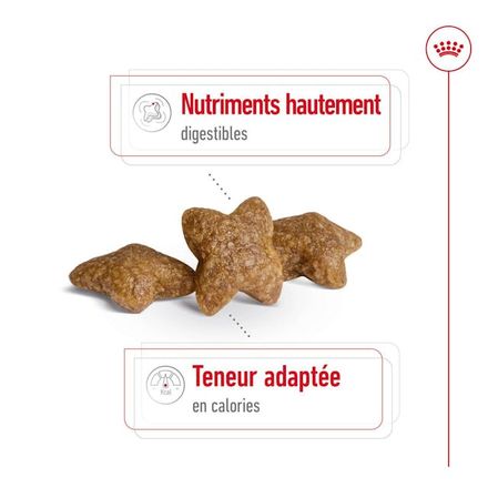 Royal Canin Mini Adult thumbnail 2