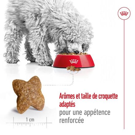 Royal Canin Mini Adult thumbnail 4