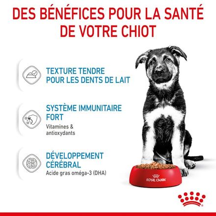 Royal Canin Maxi Puppy Chunks In Gravy - Nourriture Humide Pour Chiens thumbnail 3