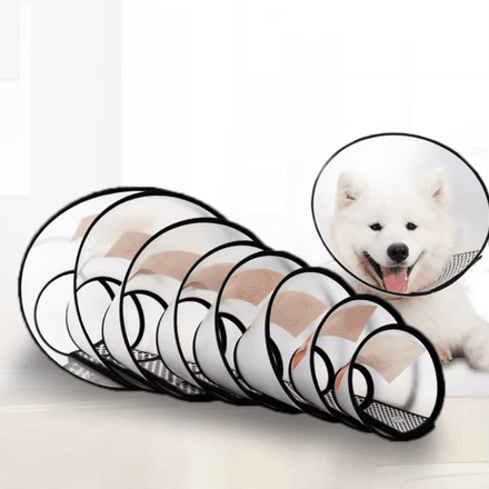 Colerette de Récupération Ajustable – 7 Tailles pour Chiens et Chats (15–46 cm) thumbnail 2