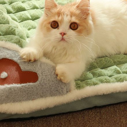 Lit pour chien et chat - Lit Épais - Confort Durable et Lavable thumbnail 4