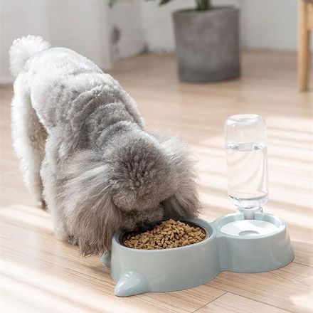 Pet Automatic Feeder - Food & Water thumbnail 3
