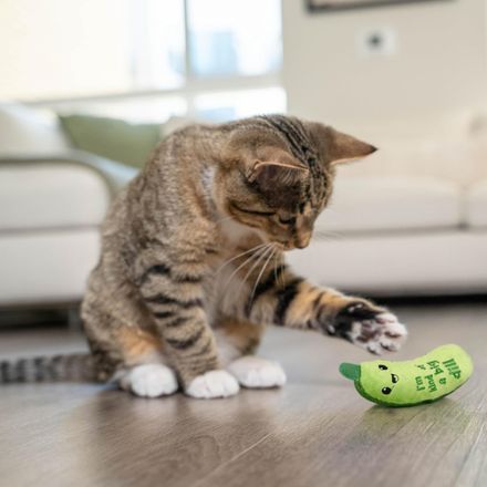 Cat Kicker Toy with Catnip – Crunchy Plush Pickle for Active Play thumbnail 2