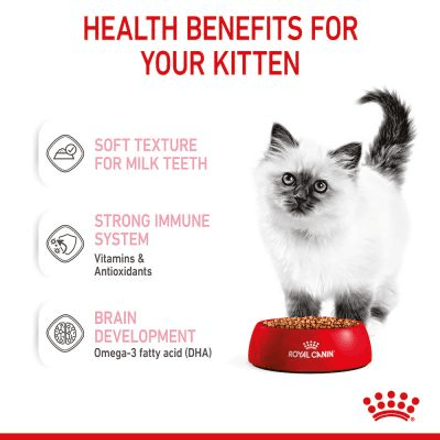 Pâté Pour Chaton - Royal Canin Kitten 85 g thumbnail 4