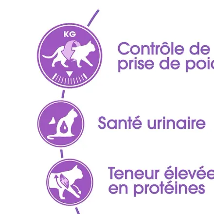 Royal Canin Croquettes pour Chat Stérilisé 2kg thumbnail 3