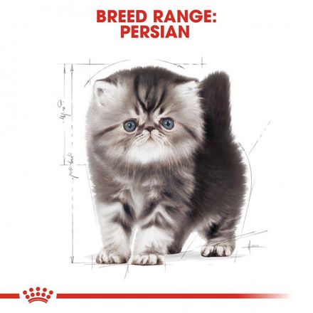 Croquettes Pour Chaton  Royal Canin Persian 2KG. thumbnail 2