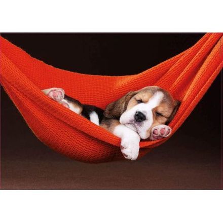 Puzzle de 500 Pièces pour Enfants - Chiot Sieste dans un Hamac thumbnail 2