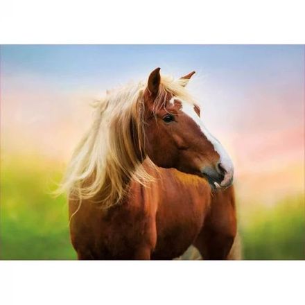 Puzzle de 500 Pièces pour Enfants - Cheval au Lever du Soleil - Animaux thumbnail 1