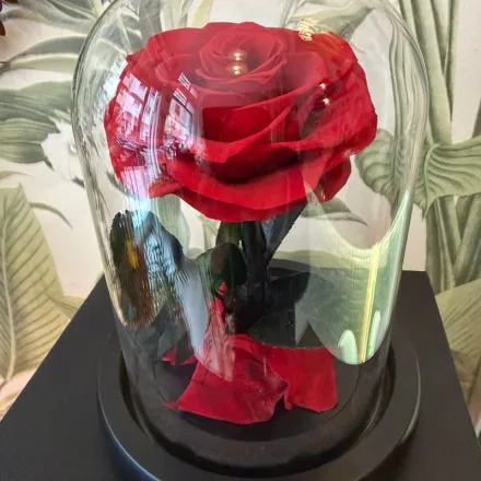 Rose éternelle thumbnail 3