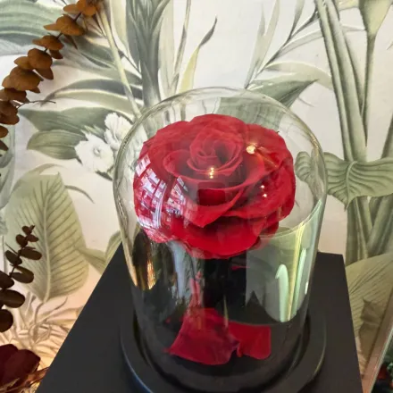 Rose éternelle thumbnail 2