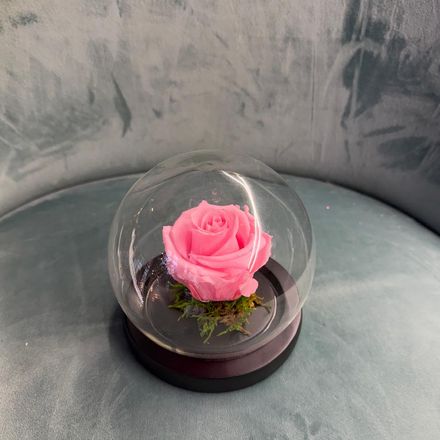 Rose éternelle boulle thumbnail 3