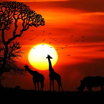 Tableau Sunset Savannah – Voyage Artistique thumbnail 2