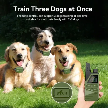 Collier De Dressage Rojeco 300m – Étanche Ipx7 & Rechargeable Pour Un Chien Bien Éduqué ! thumbnail 2