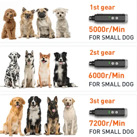Rojeco P3 Broyeur À Ongles Électrique Pour Animaux De Compagnie Avec 2 Lumières Led thumbnail 4