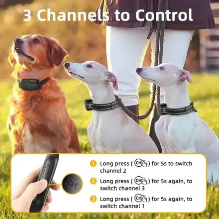 Collier De Dressage Rojeco 1000m Électrique Pour Chien Pd521 | Éducation Canine - Rocoren thumbnail 2