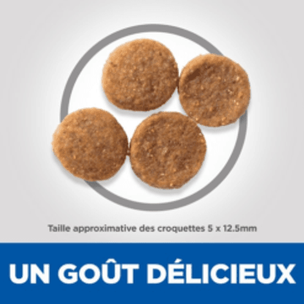 Hill’s Science Plan Aliment Pour Chien Adulte De Taille Medium Et Grande Sensitive Stomach And Skin Au Poulet 14kg + 2kg Gratuite thumbnail 3