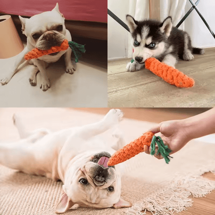 Jouets À Mâcher Pour Petits Chiens Nettoyage Des Dents thumbnail 2