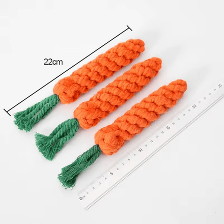 Jouets À Mâcher Pour Petits Chiens Nettoyage Des Dents thumbnail 3