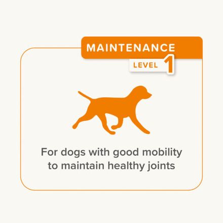Flexifit Friandises Chien thumbnail 4