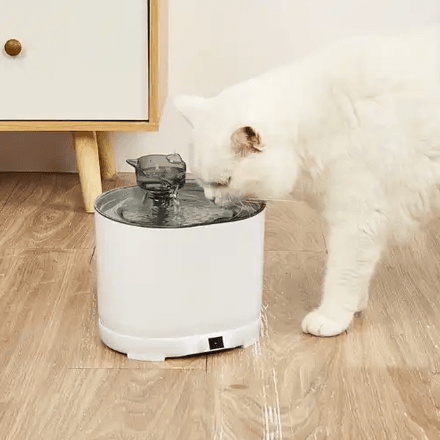 Fontaine À Eau Automatique Pour Chat Et Chien thumbnail 3