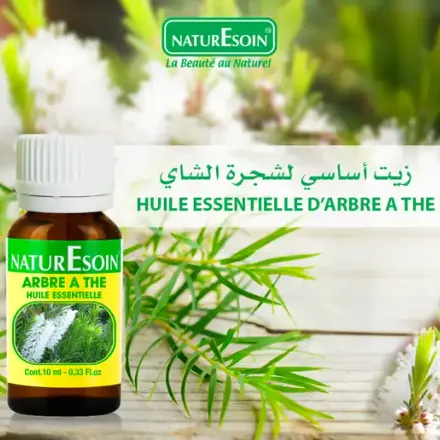 Huile Essentielle Arbre À Thé thumbnail 3