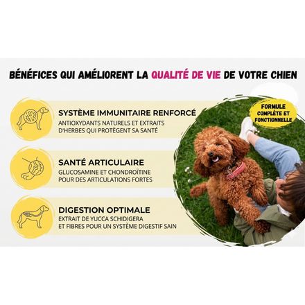 Urban Taille Mini-medium: Farm Flavour - Poulet thumbnail 4
