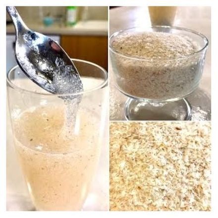 Téguments Psyllium Blond Probiotic Ispaghul thumbnail 2
