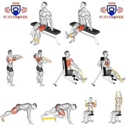 Bandes Élastiques de Fitness et Musculation  thumbnail 2