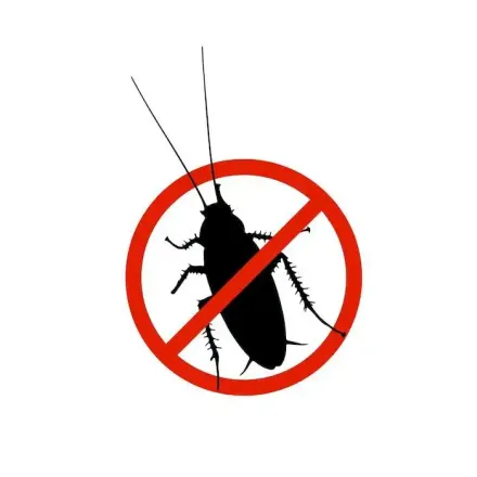 Poudre Appât Efficace, Insecticide Spécial, Anti-cafards Lot De 6 thumbnail 2