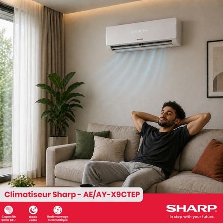 Climatiseur Split Inverter Ae/ay-x9ctep thumbnail 4