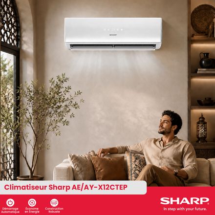 Climatiseur Split Inverter Ae/ay-x12ctep thumbnail 4