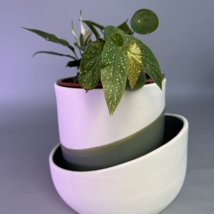 Cache Pot Artisanal, Vert Olive thumbnail 3