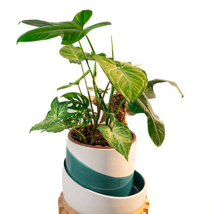 Cache Pot Artisanal - Bleu Canard - 22cm thumbnail 1