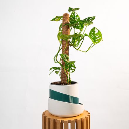 Cache Pot Artisanal - Bleu Canard - 22cm thumbnail 4
