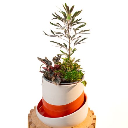 Cache Pot Artisanal, Rouge Orange thumbnail 1