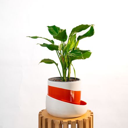 Cache Pot Artisanal, Rouge Orange thumbnail 4