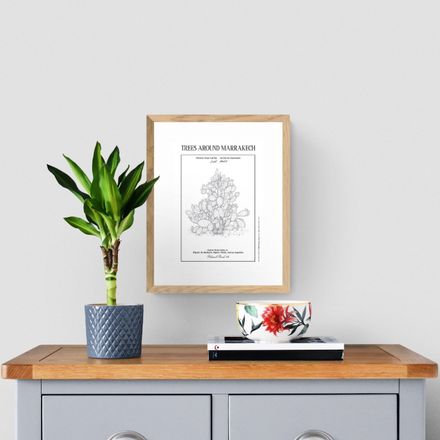 Affiche planche botanique CACTUS thumbnail 1
