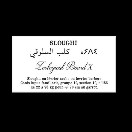 Affiche de la planche zoologique SLOUGHI thumbnail 5