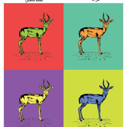 Affiche de la planche zoologique GAZELLE DAMA version POP thumbnail 2