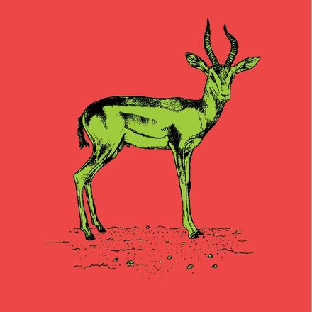 Affiche de la planche zoologique GAZELLE DAMA version POP thumbnail 4