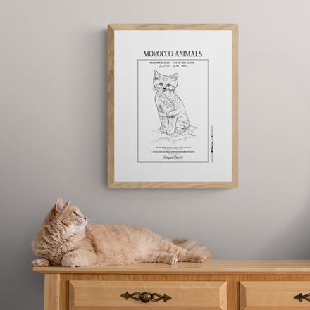 Affiche de la planche zoologique CHAT DES SABLES thumbnail 1