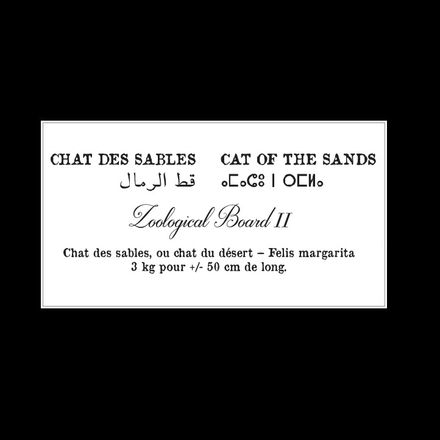 Affiche de la planche zoologique CHAT DES SABLES thumbnail 5